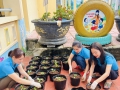 Vườn rau sạch giúp trẻ có những trải nghiệm thực tế trong quá trình học tập, vui chơi