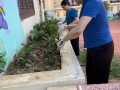 1/8/2024 tập thể sư phạm trường Mầm non Hoa Mai đã tập trung đông đủ bắt đầu các hoạt động chuẩn bị cho năm học mới 2024-2025